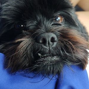 Meet your Posher, Peter